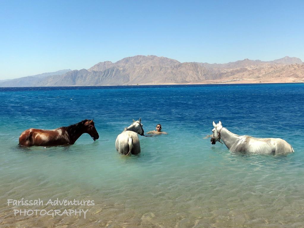 Blue Beach Club Dahab Eksteriør bilde